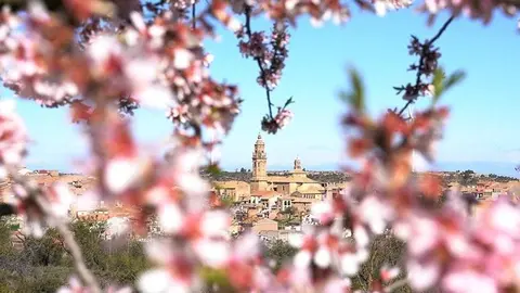 Arxiu campanya 'Garrigues en flor'