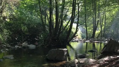 Parc Natural del Montseny