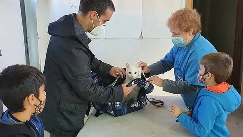 Campanya per dentificar mascotes al Palau d'Anglesola