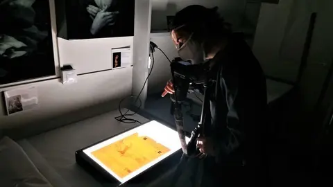 L&#39;examen organolèptic visual, amb lents d&#39;augment i microscopi digital al dibuix d&#39;Isidre Nonell - UdL