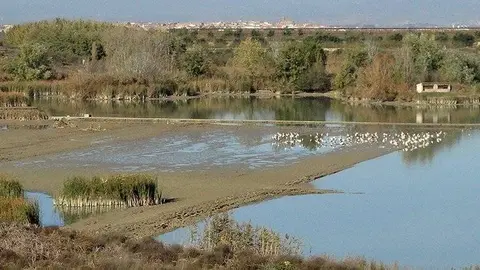 Imatge de l'Estany d'Ivars i Vila-sana @Territoriscat