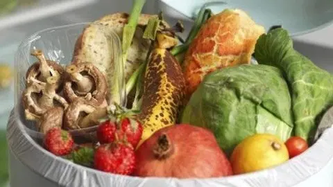 La Paeria de Lleida vol evitar el marbaratament d'aliments i reduir els residus @Sosteniblecat