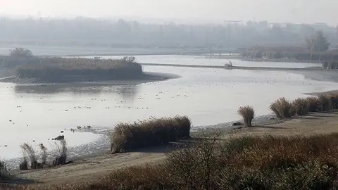 Imatge de l'Estany i la superfície buidada @ACN
