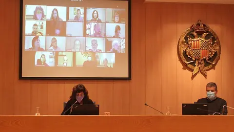 Un moment de la sessió ordinària del Ple celebrada ahir dijous