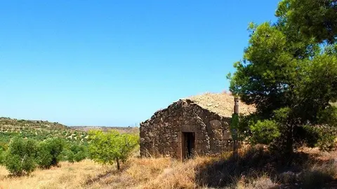 Terra d'oliveres, cabana de volta