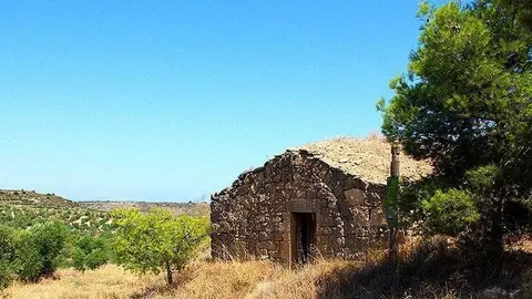 Terra d'oliveres, cabana de volta @CCGarrigues
