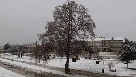 Afectació del temporal Filomena a Agramunt @RàdioSió