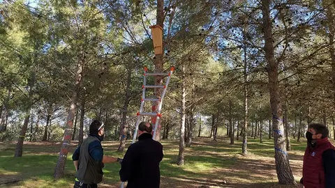 e30cbb0f-7613-44ca-801d-9491f17081ac