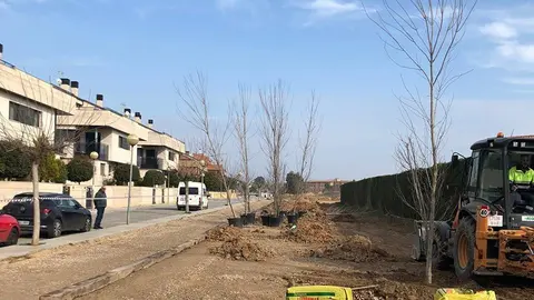 El passeig de Jacint Verdaguer Torrefarrera