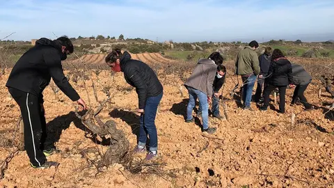 Els participants en el taller de Poda de respecte @DOCostersdelsegre