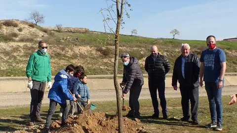 Plantada d'arbres a Castellserà amb Canal Viu  @CanalViu