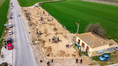 Plantada d'arbres a l'antiga casella dels canalés del Canal d'Urgell de Torregrossa, @FemLlavor