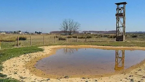 La bassa d’amfibis en els aiguamolls de Rufea @Paeria