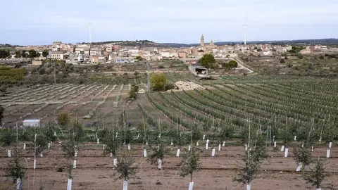 Cooperatives camp sòl agrari agricultura cultius parc eòlic energies renovables - Imatge: Federació de Cooperatives de Catalunya (FCAC)