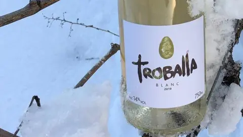 Troballa blanca neu-interior