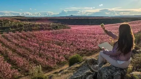 Imatge de la floració al Segrià @CCSegrià