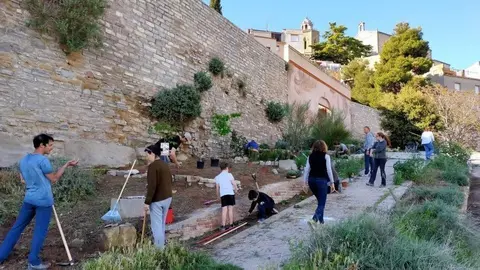 arranjament jardí Porta dels Pous - voluntariat - Foto: cedida per la Paeria de Cervera