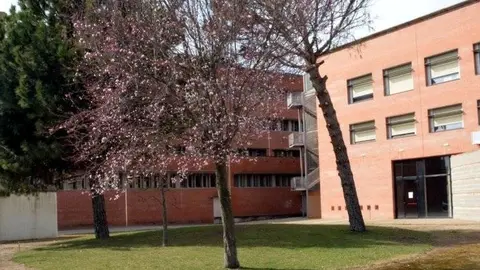 veterinària1