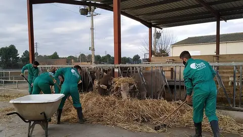 Les Escoles Agràries de Catalunya inauguren el curs ©Territoriscat