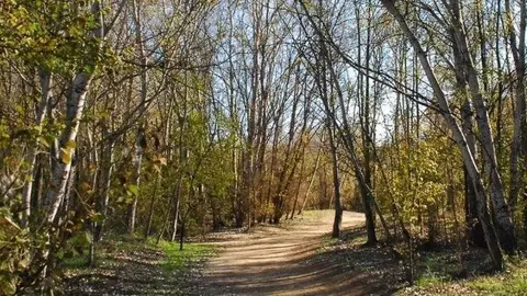 Parc de la Mitjana de Lleida.
