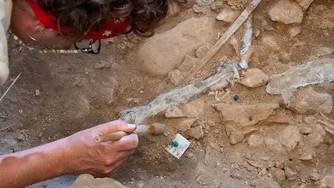 Arqueòlegs de la UAB treballant a la Cova Gran de Santa Linya @UAB