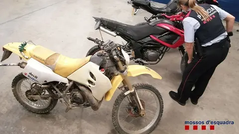 Els vehicles recuperats pels Mossos d'Esquadra a Miralcamp @MossosMollerussa