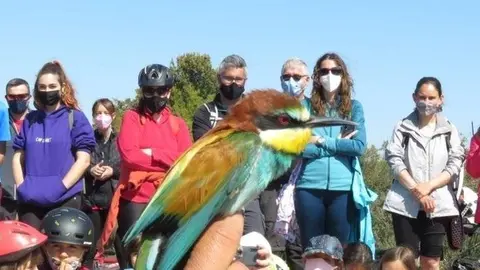 Espais Naturals de Ponent