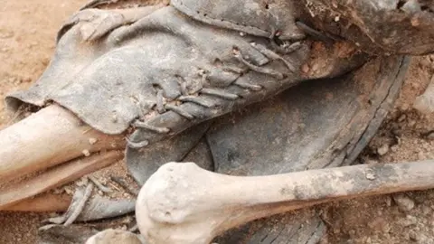 Restes de la fossa comuna del Soleràs.