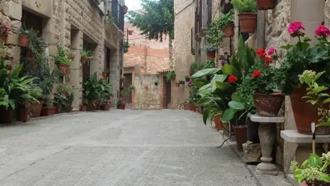 Carrer Forn Vinaixa (27) - Garrigues en Flor