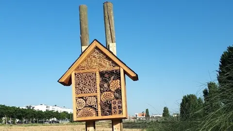 Pla obert d'un dels dos 'hotels' per a insectes instal·lats al campus de l'ETSEA de la Universitat de Lleida, el 6 de juliol del 2021. (Horitzontal) - Cedida per ETSEA-UdL