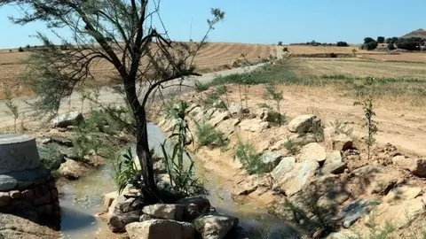 Fotografia: Agència Catalana de Notícies.