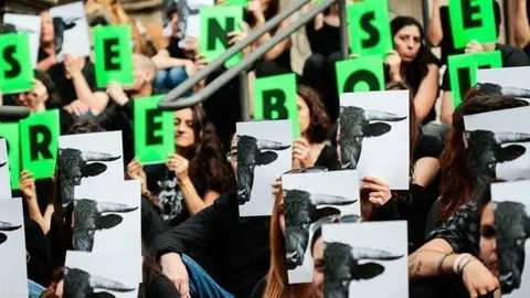 Imatge d'arxiu on s'exigeix votar 'Sí' a abolir els correbous. Foto: Martí Albesa.