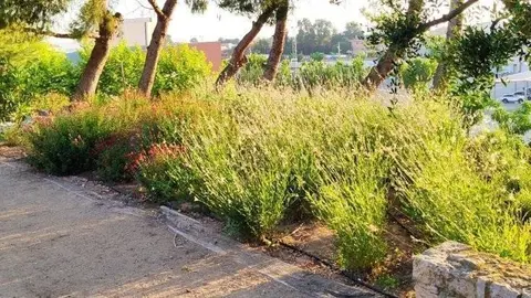 Nou sistema de reg d'Alcarràs.