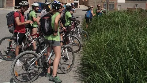 Camp de treball de la Ruta Cabanera Linyola @JosepA.Pérez