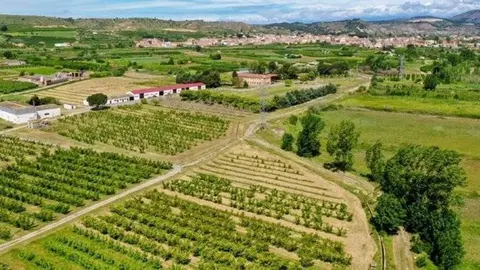 Imatge Escola Agrària d'Alfarràs @EAAlfarràs