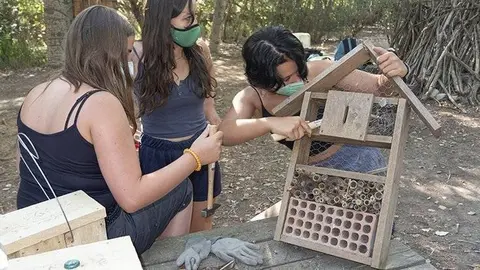 Es joves construeixen nius i hotels d'insectes @JosepA.Pérez