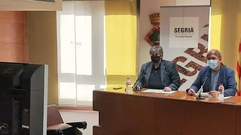 Ple telemàtic del Consell Comarcal del Segrià.