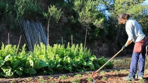 Treball als horts @Eixarcolant