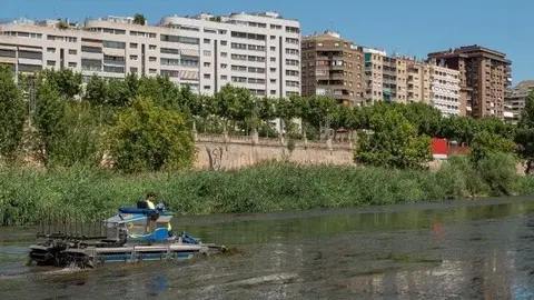 Tasques de neteja del riu Segre al seu pas per Lleida.