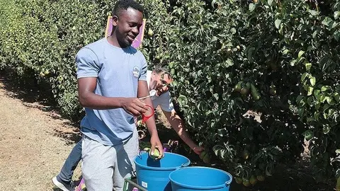 Kelly Isaiah collint peres Conference en una finca de Corbins @SalvadorMiret