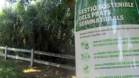Gestió sostenible dels prats de la Mitjana