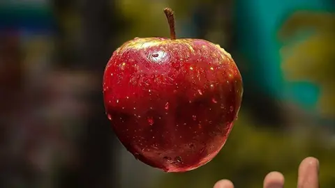 poma fruita - Foto: Bithin Raj - Unsplash