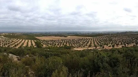 Finca Purgatori al Mas de l'Aranyó, les Garrigues ©JosepAPérez