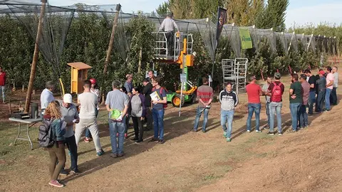 Jornades Fructicoles IRTA arxiu ©JosepAPérez