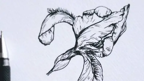 Segona edició del Premi d'Il·lustració del Segrià.