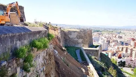 Treballs de sanejament de l'esllavissada a la muralla de la Seu Vella, el 5 de maig de 2021. Fotografia: ACN.