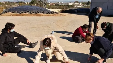 Disseny d'un rellotge solar analemàtic a la Granja Pifarré