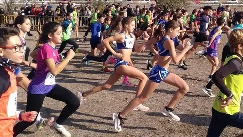 Una de les curses disputades al 28è Cros Intercomarcal de Tàrrega