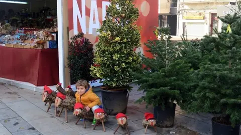 Mercat de Santa Llúcia de Lleida ©Territoris