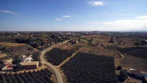 Vista aèria de l'Horta de Lleida - Foto: Cristina Mongay